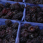 Boysenberry cobbler