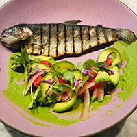 Grilled trout with California avocado watermelon slaw