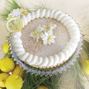 Lemon chiffon tart