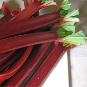 Rhubarb gallette