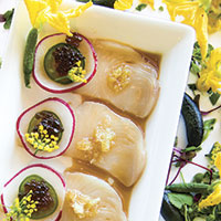 Hamachi tiradito