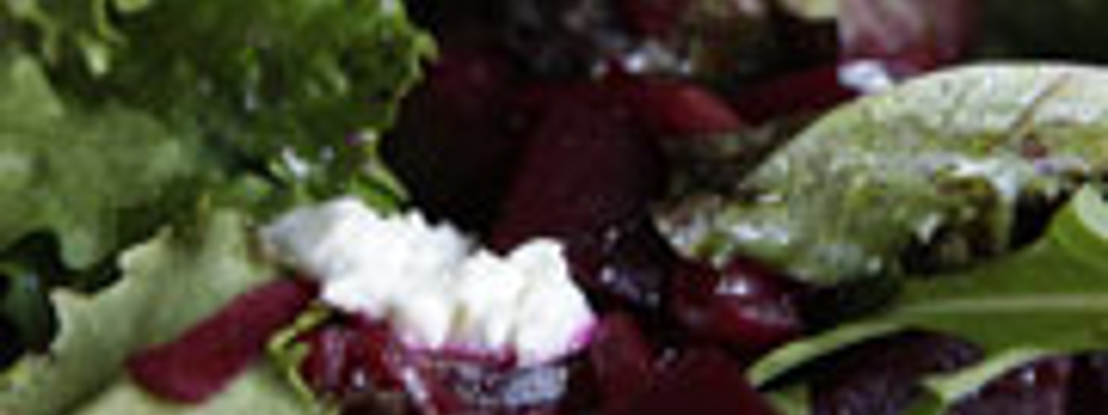 Sea Rocket Bistro beet salad